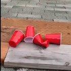 Chris, what's up dog?