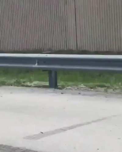 Meanwhile in Florida