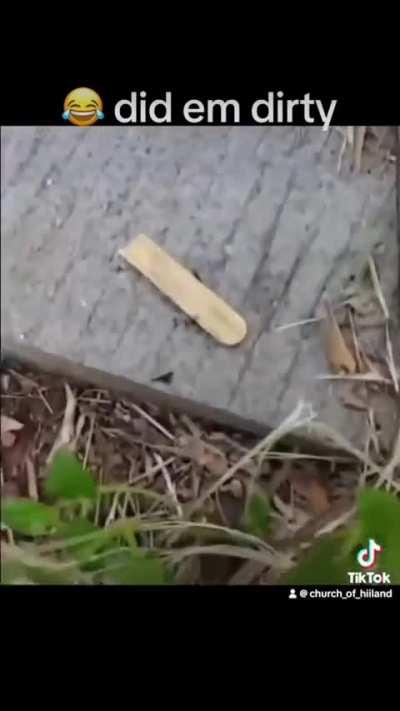 He’s the joke of the colony now 