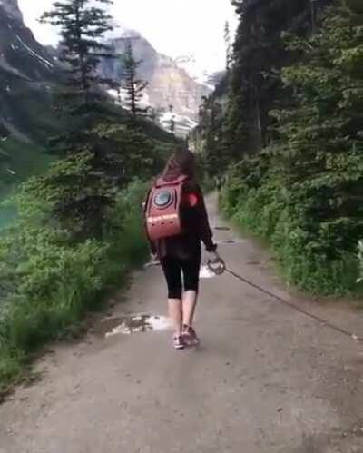 Taking her for a walk. Can you do this?