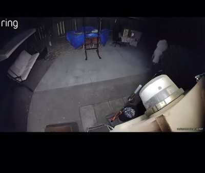 Sometimes you just need a 3am trip to Taco Bell.