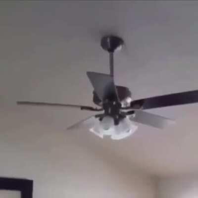 Fixed the fan boss