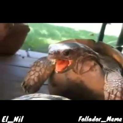 Ojalá y Folita lo vea XD