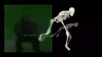 r/agiotasclub be like