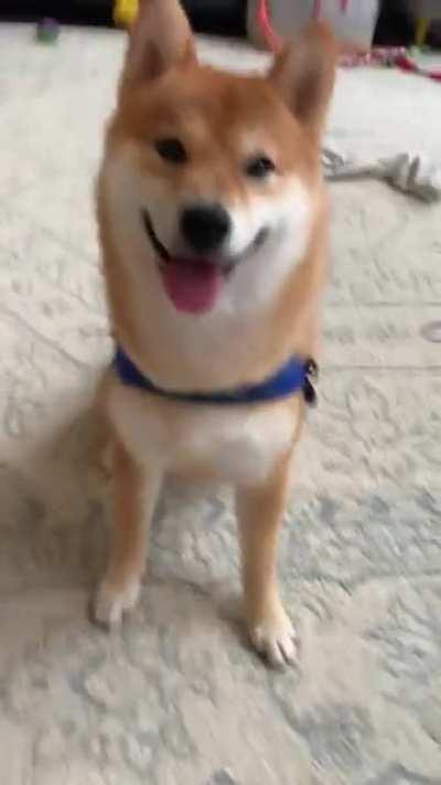 Our girl is so plush!