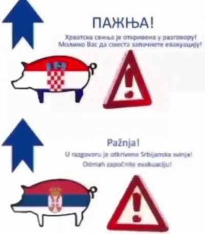 Serbs and Croats be like