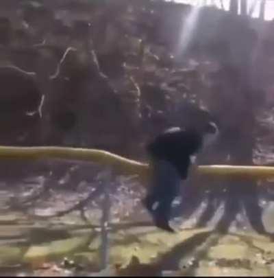 Hope he has a spare pair of bullocks