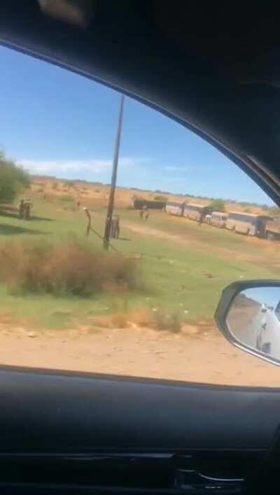 Apparently Douglas area near Senekal.