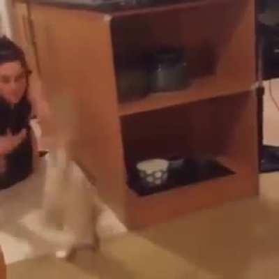 Trying to startle each other