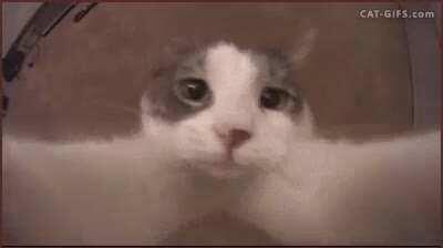 Yo cuando rubius se acerca a la camara