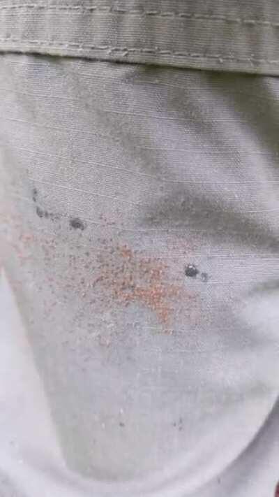 Ганс! Гааааанс, твою мать, где тебя носит!!!!???