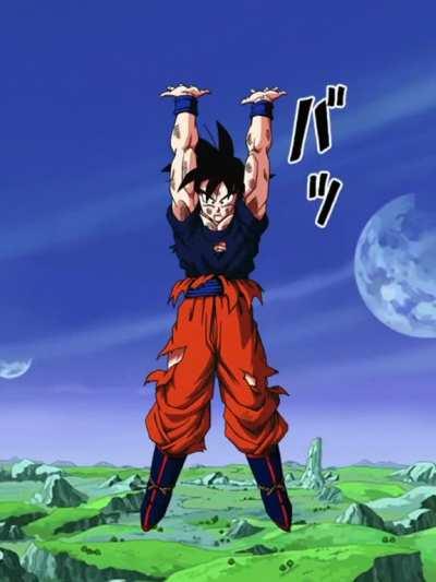 PHY LR SSJ3 Goku & SSJ2 Vegeta Animation 🫡