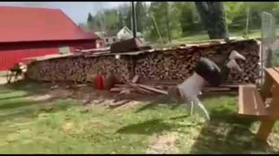 At least she has a decent pace..