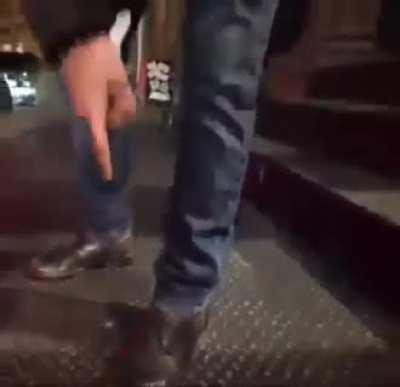 gayspiderbrothel - Video #4976