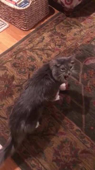 Delivering the late night snack!