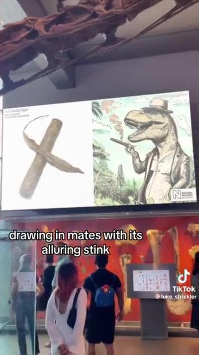 New t-rex info just dropped