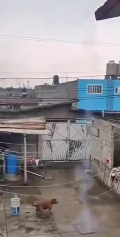 This was oddly satisfying.