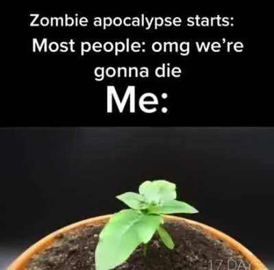 Plants vs Zombies