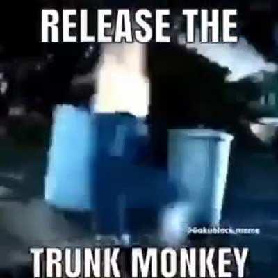Don't mess with trunk monkey