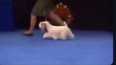 👏🏻👏🏻👏🏻👏🏻