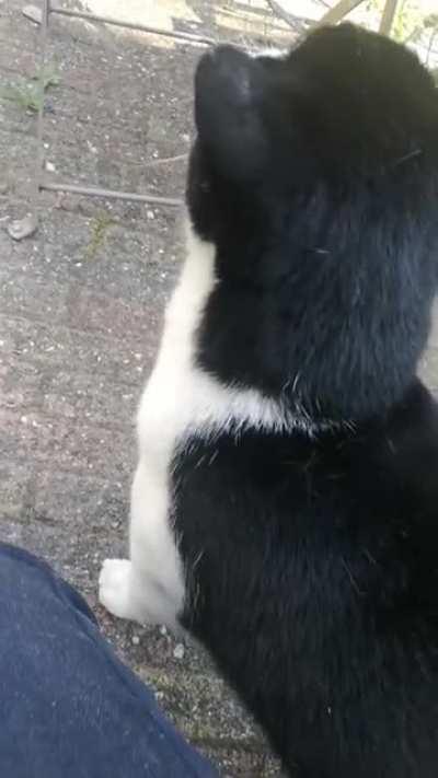 WHY DID YOU LEAVE ME