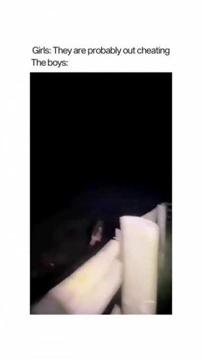 Checking out the farm