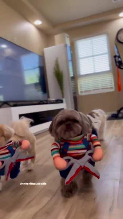 This made my day. 🫶🏻 