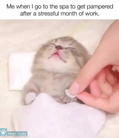 Gif that keeps on giving