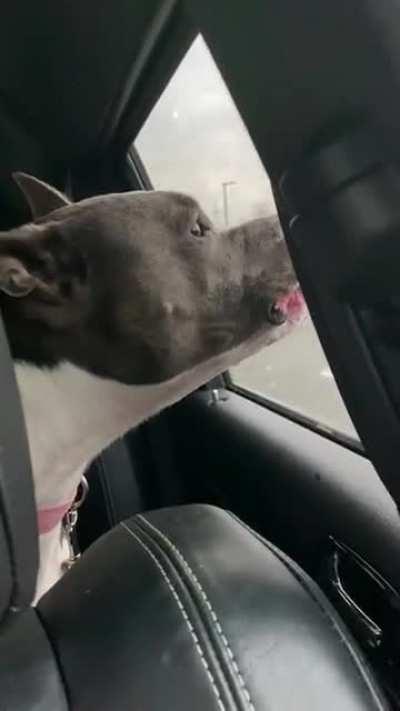 В замешательстве