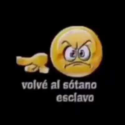 Beelce cuando un repollito pregunta algo