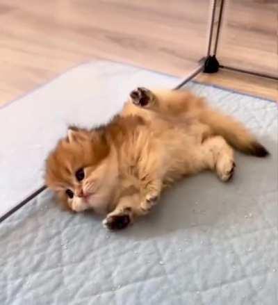 Maximum intimidation