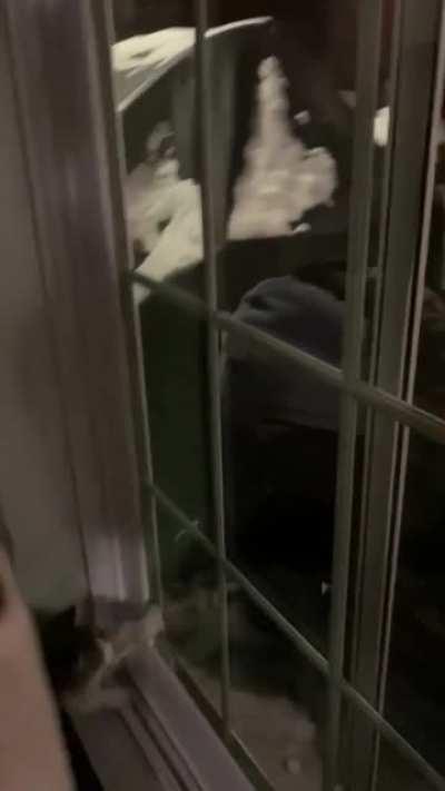 Blursed home invader