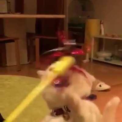 GIVE IT TO ME! GIVE! G........