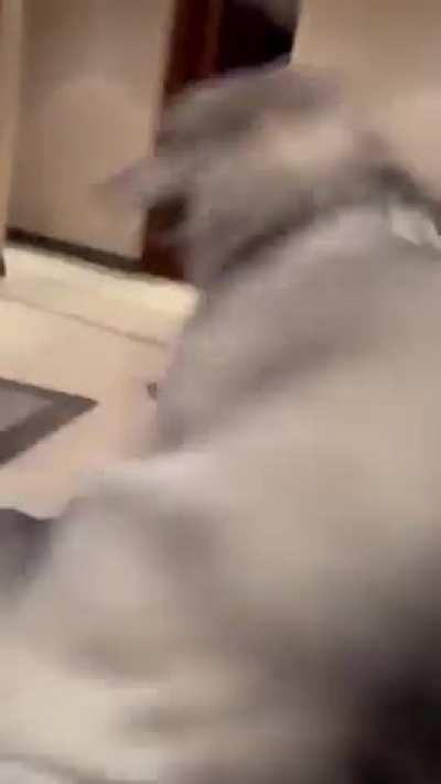 Where to turn off the button?