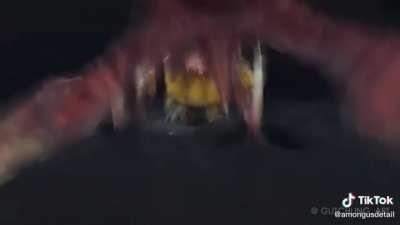 Thanks, I hate among us