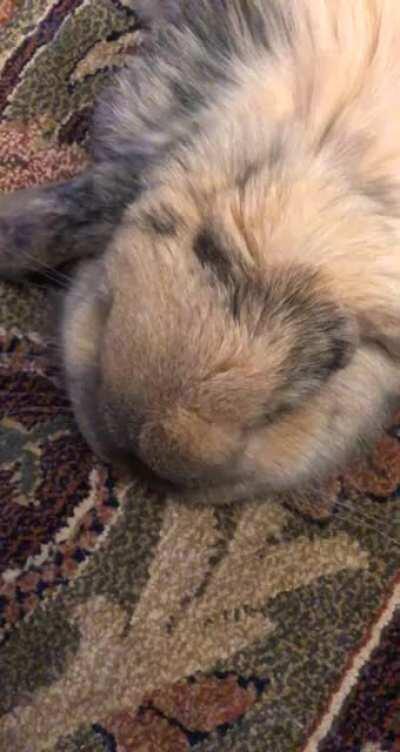 Can Anyone Tell Me What This Noise Means??