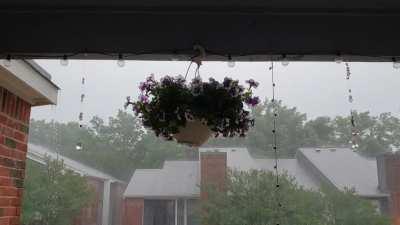 Its a great day! Here's a video of the rain!