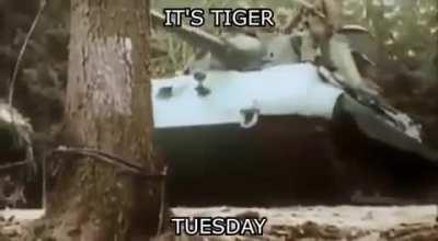 Fuck T-34's. All my homies hate T-34's