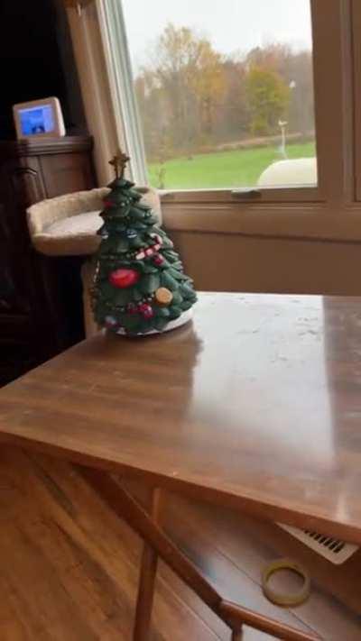 Update on my thrift store find