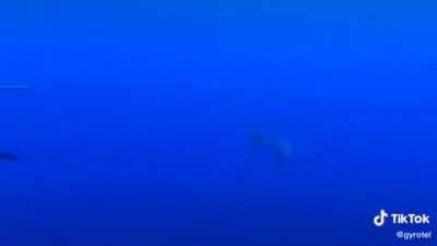 You never know what's lurking beyond your view..