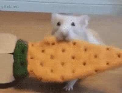 My husband sent me this and I thought of this sub immediately 😂