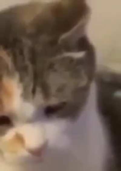 no soy edgy... pero me dio risa la primera vez