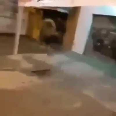 vazo o gaba no rolê 😳