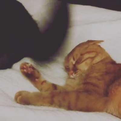 Im too tired to move so this might as well happen.