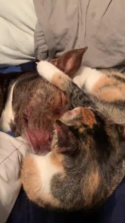 Winnie gets her daily bath