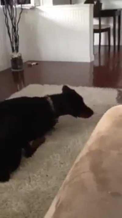 I'm gonna git you sucka