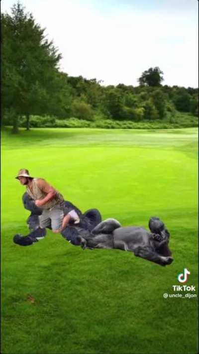 Where’s the zookeeper??