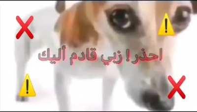 My 🍆 is coming for you