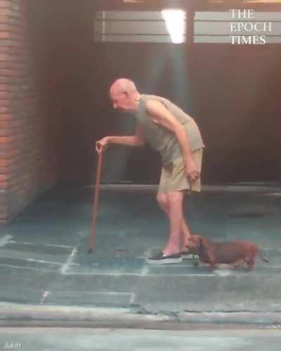 Patient dog walks extremely slowly with elderly owner