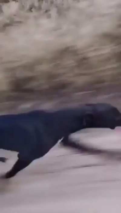 I think this belongs here: fun run!